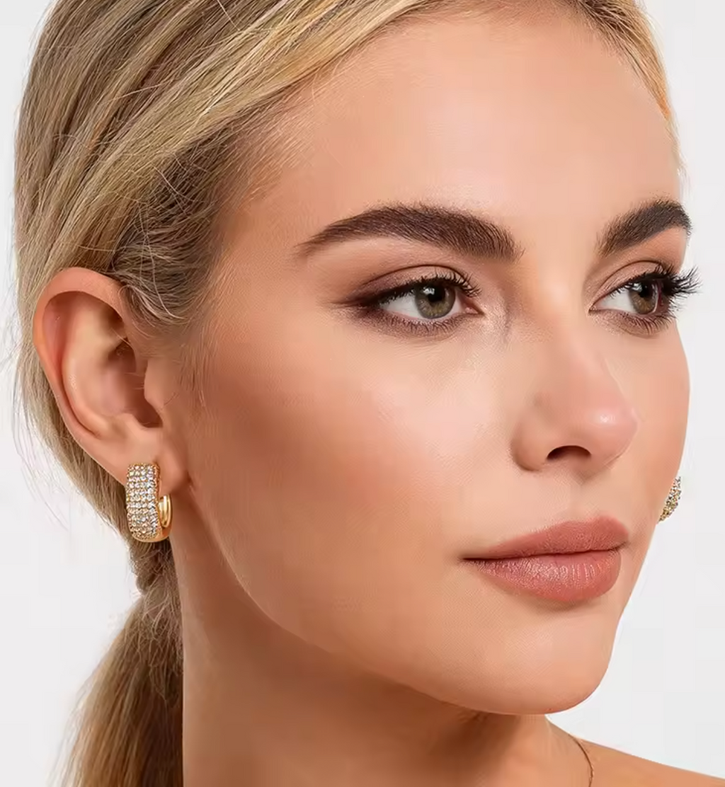Zirconia Round Huggie Hoop Earrings for Women