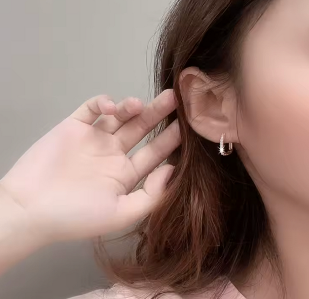 925 Sterling Silver Crystal Zircon Circle Hoop Earrings for Women