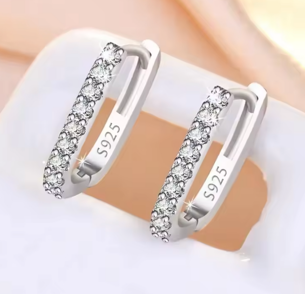 925 Sterling Silver Crystal Zircon Circle Hoop Earrings for Women